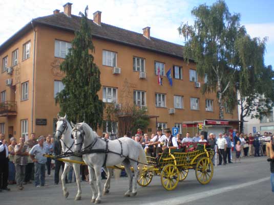 Konjske zaprege u Okucanima 