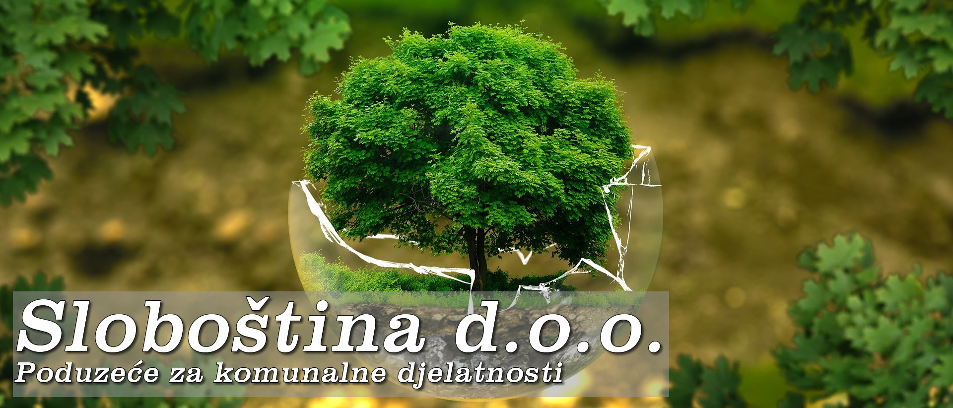 baner naslovna web